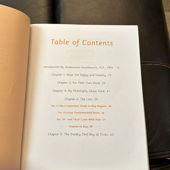 The Sneaky Chef. By Missy Chase Lapine. - Picture 2 of 9